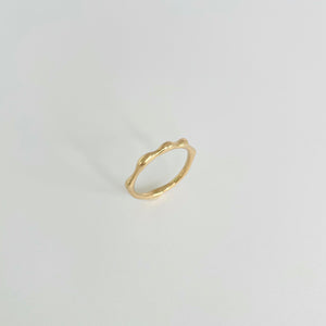 Gold ring Terra Collection