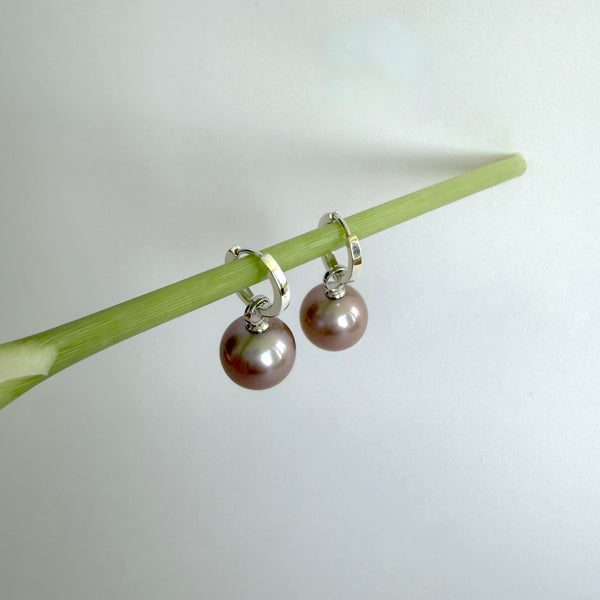 Tahitian pearl earrings in silver