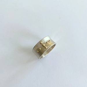 Silver and gold ring