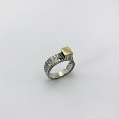 Silver ring with gold